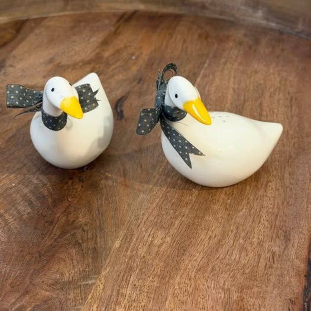 Ceramic Goose Salt and Pepper Shakers~Avon